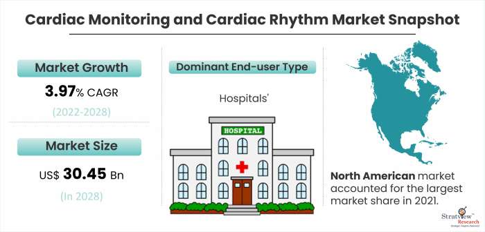 Cardiac Monitoring and Cardiac Rhythm Market Snapshot