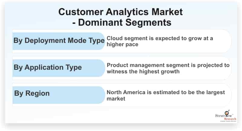 Customer-Analytics-Market-Dominant-Segments