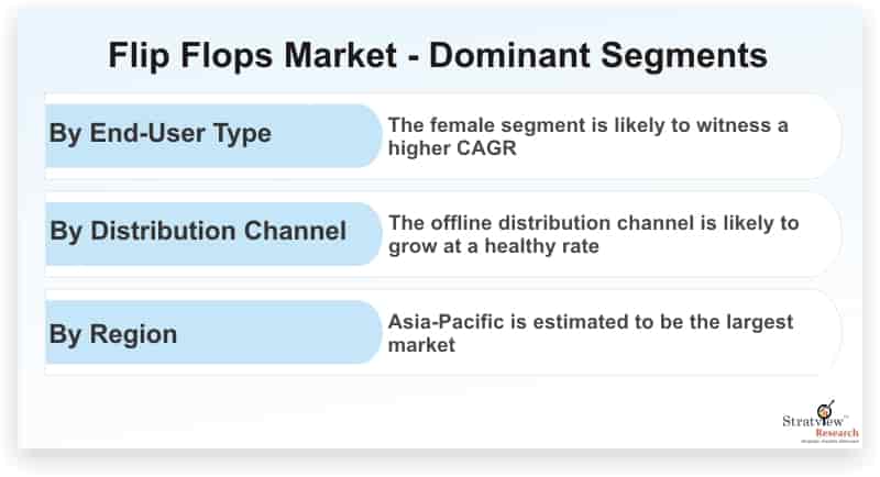 Flip-Flops-Market-Dominant-Segments